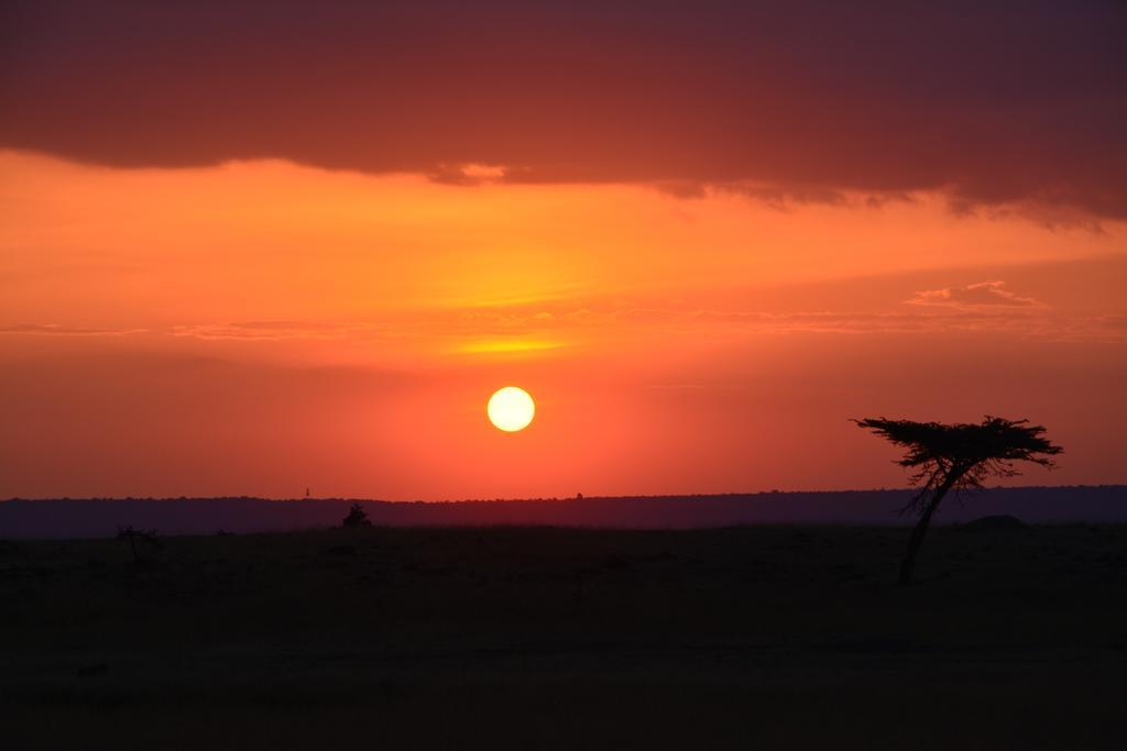 Neptune Mara Rianta Luxury Camp Maasai Mara Exteriör bild