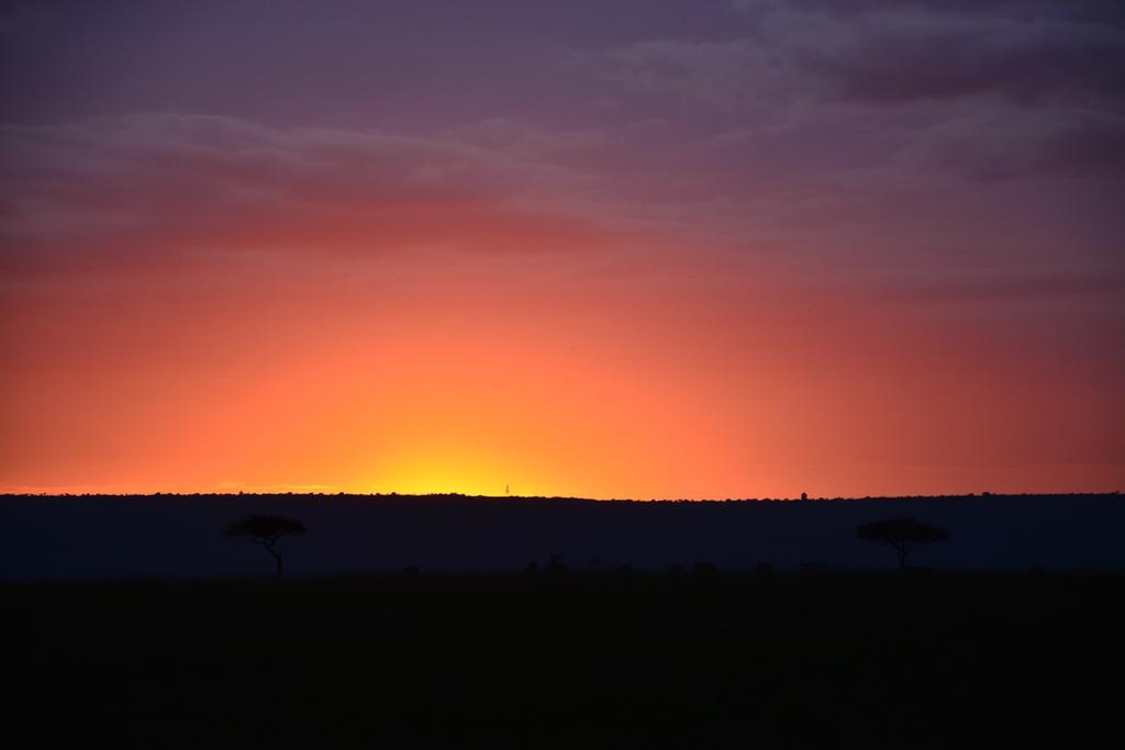 Neptune Mara Rianta Luxury Camp Maasai Mara Exteriör bild