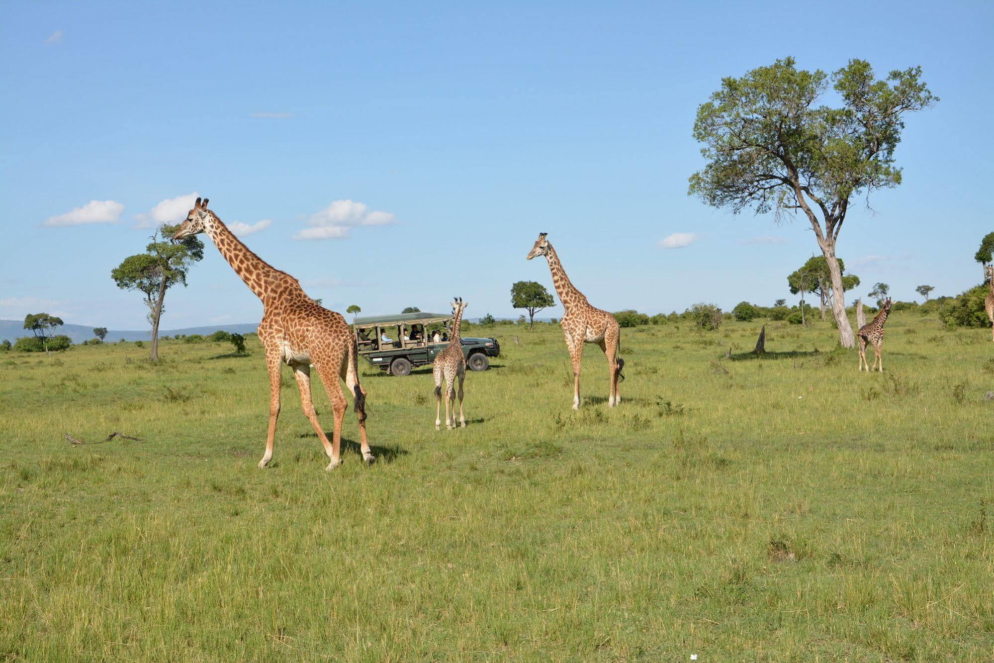 Neptune Mara Rianta Luxury Camp Maasai Mara Exteriör bild